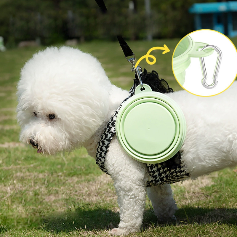 Color Pet Supplies Portable Fo - огляд і ціна Wedding Water Supply
